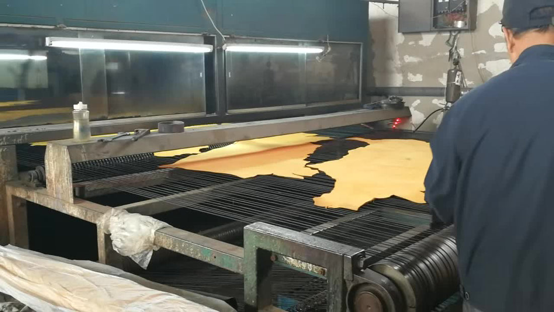 A leather hide being plated at the tannery